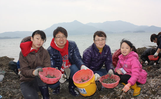 갯벌생태체험목록 이미지